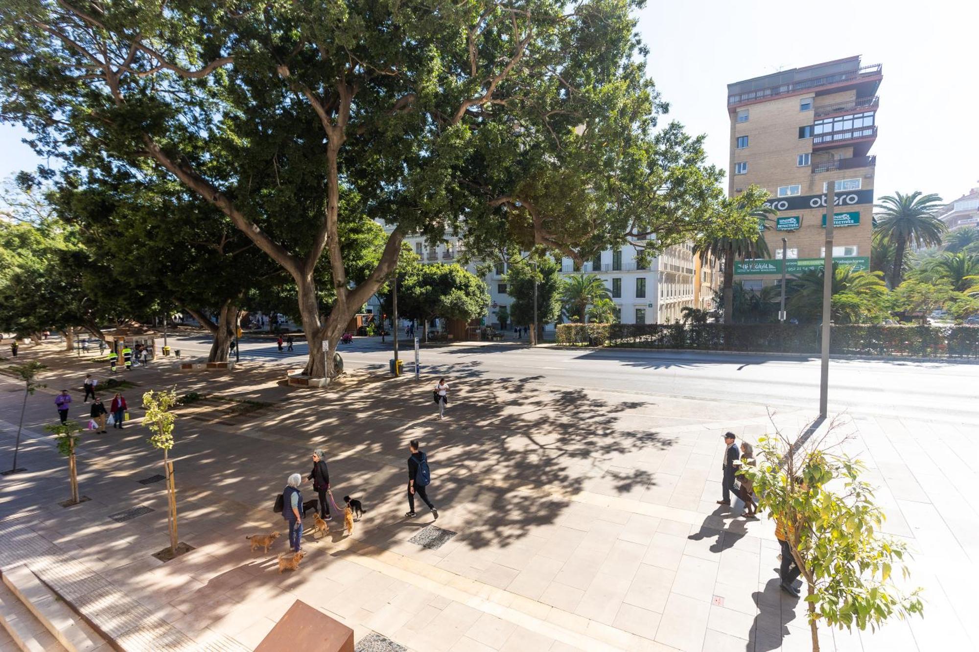 La Casa De La Alameda Apartment Malaga Luaran gambar